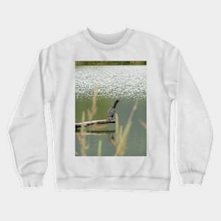 Double Crested Cormorant #2 Crewneck Sweatshirt